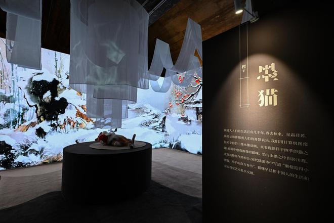 “生生万物东方有猫艺术大展”在北京798艺术工厂重磅开幕(图3)