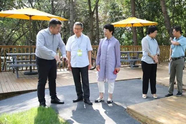 新建学校、卫生服务中心情况如何？嘉定区人大代表开展专题视察(图3)