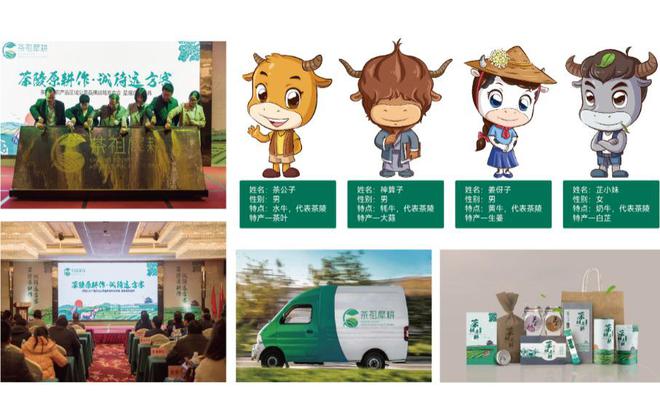 你不能错过的品牌营销全案策略！——听暗能文化介绍(图8)
