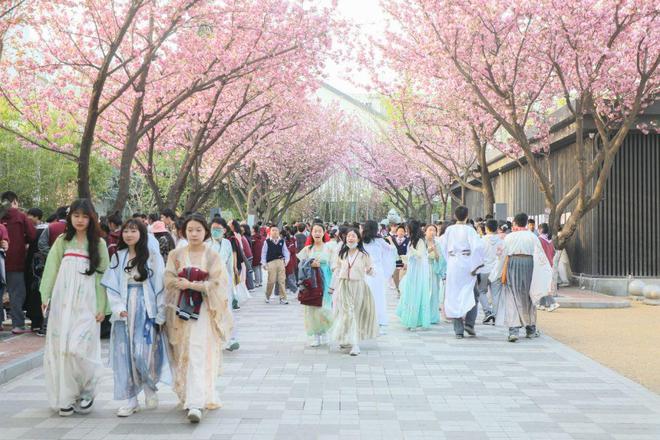 西安雁南中学2023年小升初报名咨询已开始！(图2)