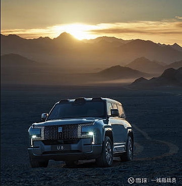 汽车工业历史上从未有过如此迅猛的品牌崛起(图3)