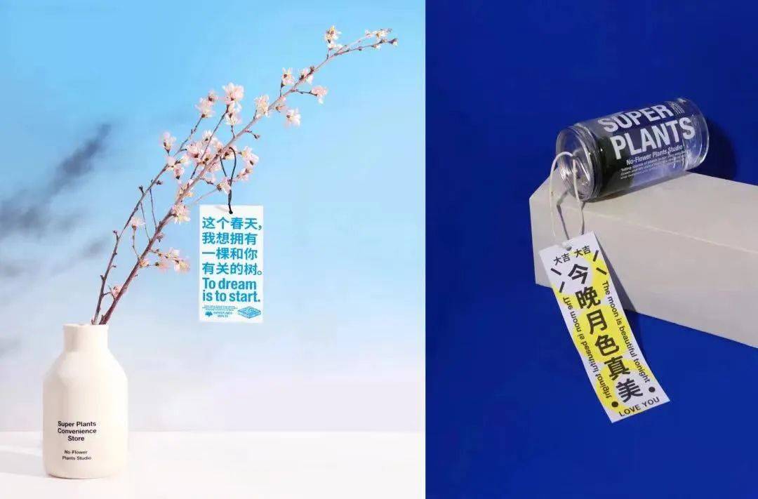 腾憬创意 2023独家流行！5种创意包装让你成为包装界达人！(图14)