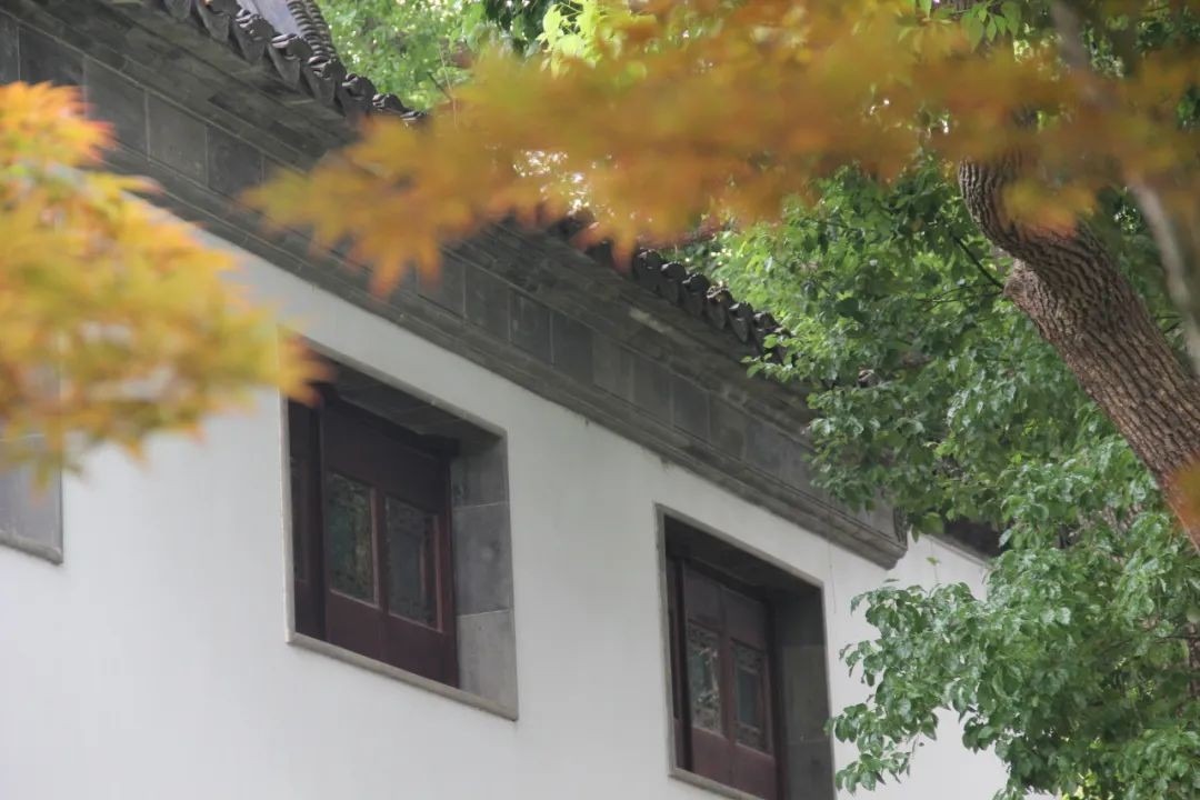 当老牌国宾馆撞上当打之年！(图2)
