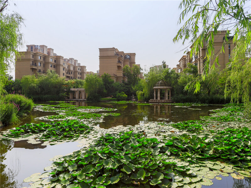 华发中东和平首府(图5)