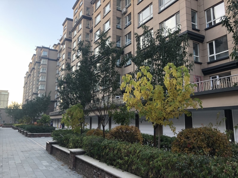 华发中东和平首府(图7)