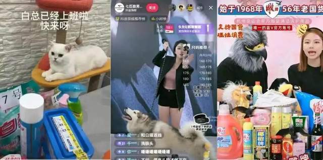 国货商战接近尾声是时候总结一份《实操指南》了(图11)