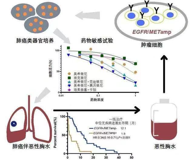 OSC 2023第二届西南类器官和器官芯片技术大会助力精准医学新时代！(图2)