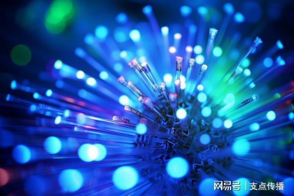 双十一品牌方如何布局？抖音搜索引擎优化值得一做！(图2)