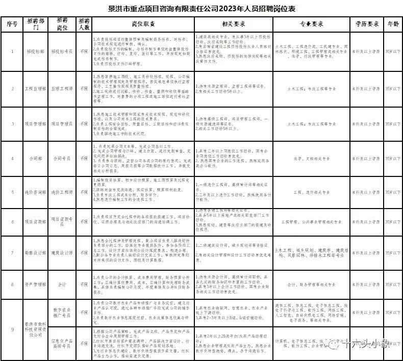 2023年西双版纳州景洪市重点项目咨询有限责任公司招聘公告(图1)