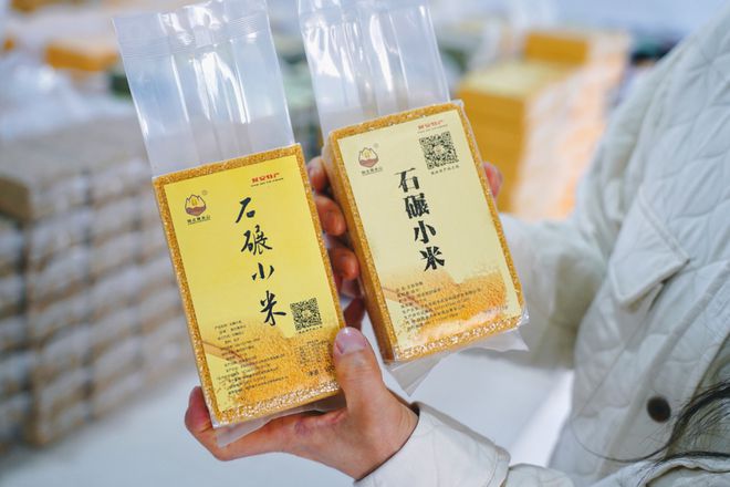 对外密集输出、对内蓄满底气这是乡建的魅力｜子长峰会(图8)