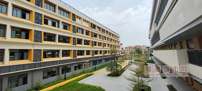 首批教师硕博占48%华东师范大学附属顺德美的学校开学啦(图3)