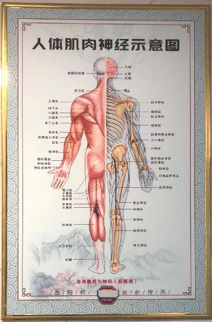 黔疗舒康堂：百年传承苗医古法诚邀您的加盟(图1)
