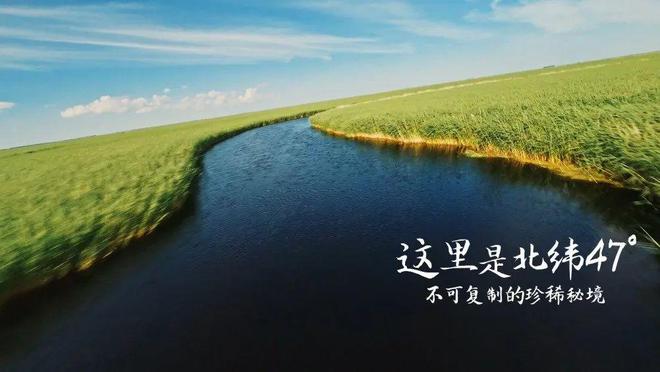 溯源故事很火但该如何讲好呢？(图17)