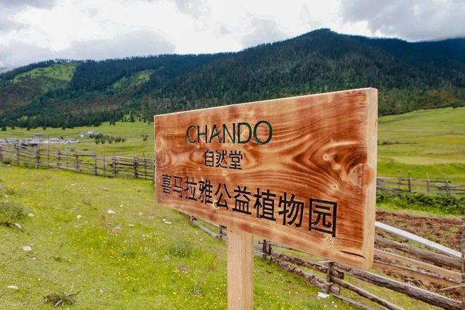 溯源故事很火但该如何讲好呢？(图26)