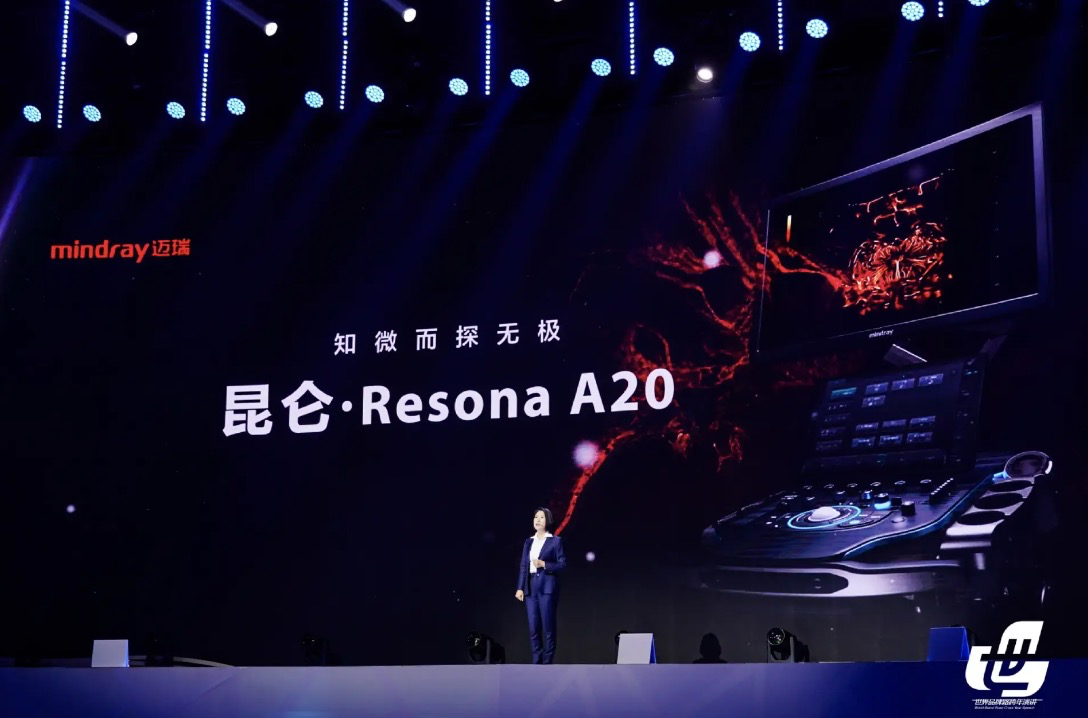 梦想连接世界：中国品牌的全球愿景(图5)
