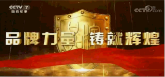 CCTV《品牌力量·铸就辉煌(图2)