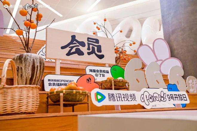 IP、平台、用户与品牌在OpenDay找到有效对话的方式(图13)