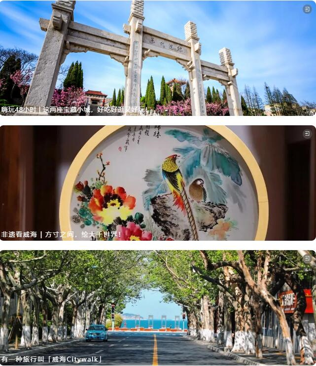 回望2023⑫丨打造让游客满意的文旅信息服务平台(图4)