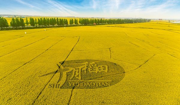 厨房主食行业创新者十月稻田荣获年度影响力品牌奖(图3)