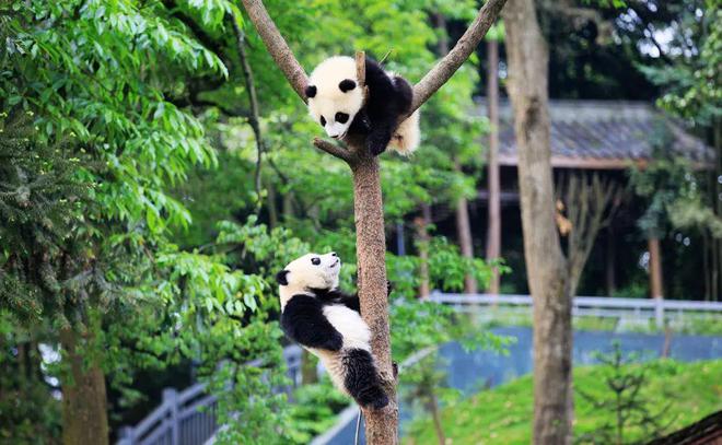 产业 向阳而生：地方文旅国企进化指南(图8)