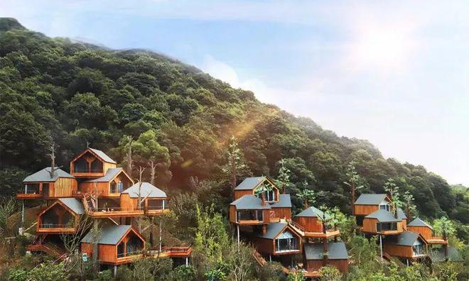 产业 向阳而生：地方文旅国企进化指南(图10)