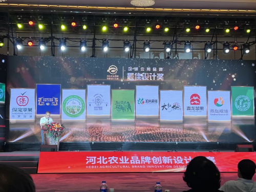 破三关以除顽疾行六步以壮身体——青龙板栗区域公用品牌打造之路(图3)