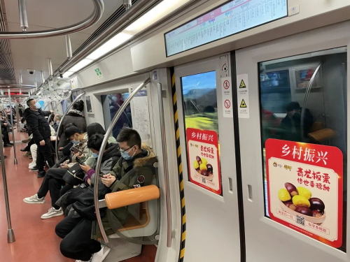 破三关以除顽疾行六步以壮身体——青龙板栗区域公用品牌打造之路(图4)