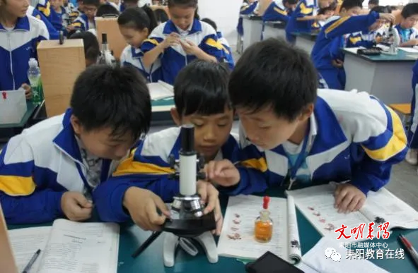 群峰竞秀数风流 ——且看教育集团化办学的“耒阳样板”(图5)