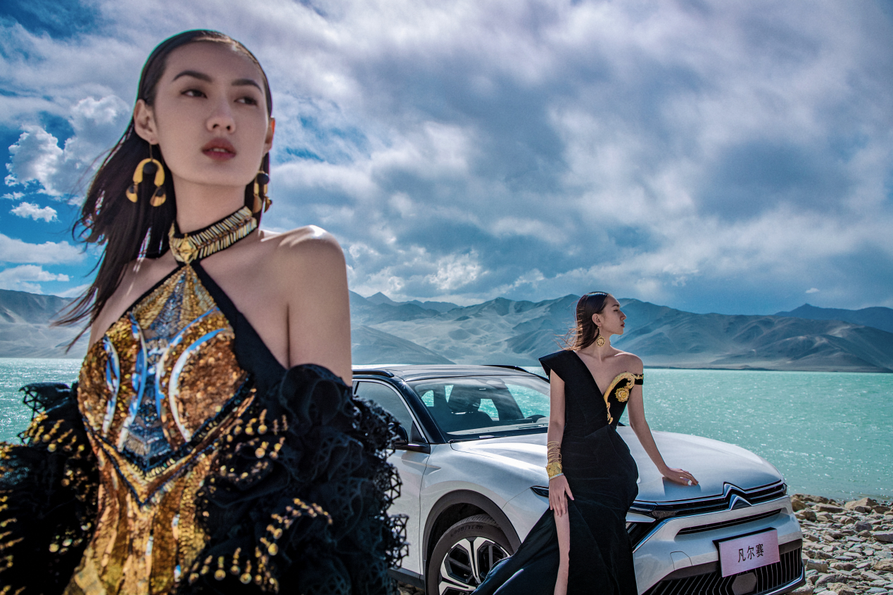 双向奔赴的品牌之约意味着什么2024谁还在买法系车？(图2)