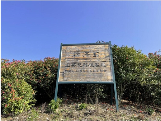坚持长期主义林清轩的20年从小众品牌到中国高端美妆领航者(图6)