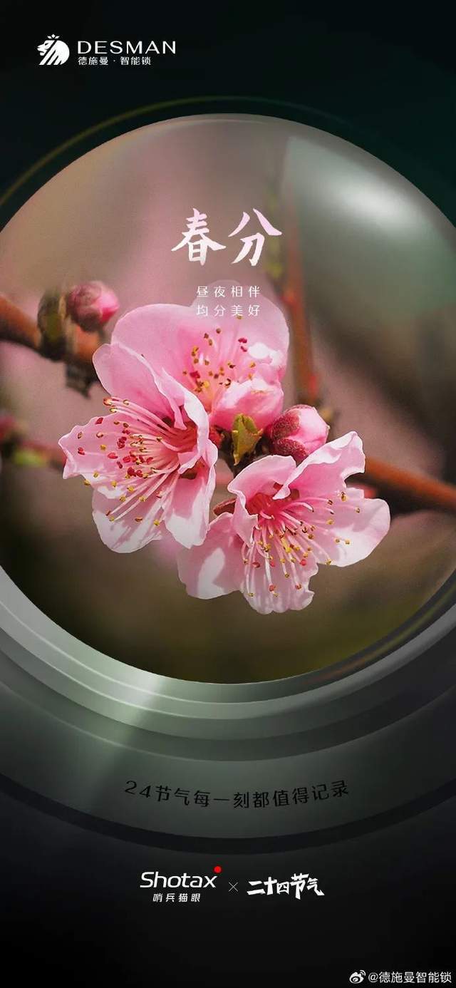 盘点各大品牌春分海报满眼都是绿(图14)