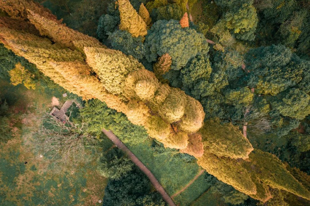贵州花溪：以丰富业态 擦亮花溪度假“新名片”(图2)