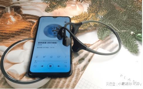游泳耳机综合横评对比揭秘：南卡、韶音、墨觉哪个牌子好用？(图7)