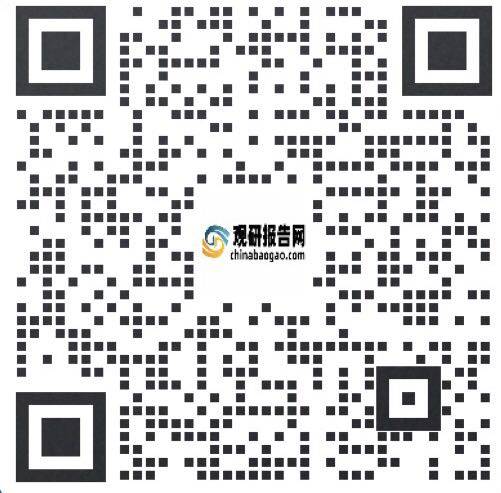 中国信息咨询行业现状深度调研与发展战略预测报告（2023-2030年）(图6)