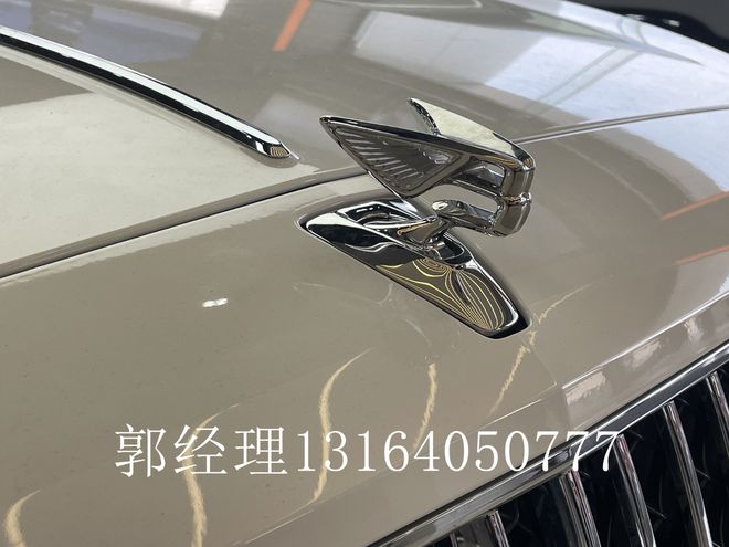 宾利飞驰豪华品牌轿车标轴和雅度版报价(图2)