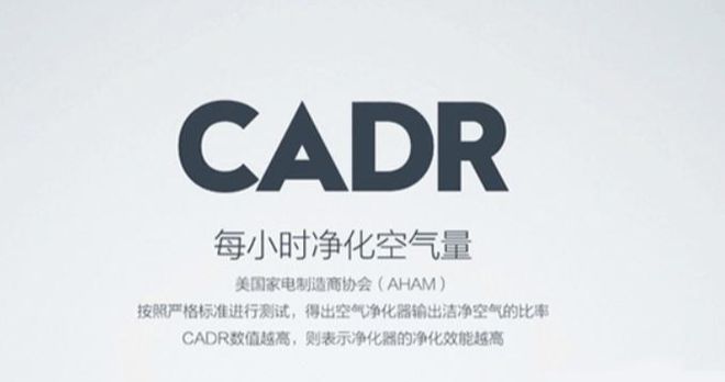 养猫大户必备：如何选购高性价比空气净化器贝尔克品牌怎么样？(图3)