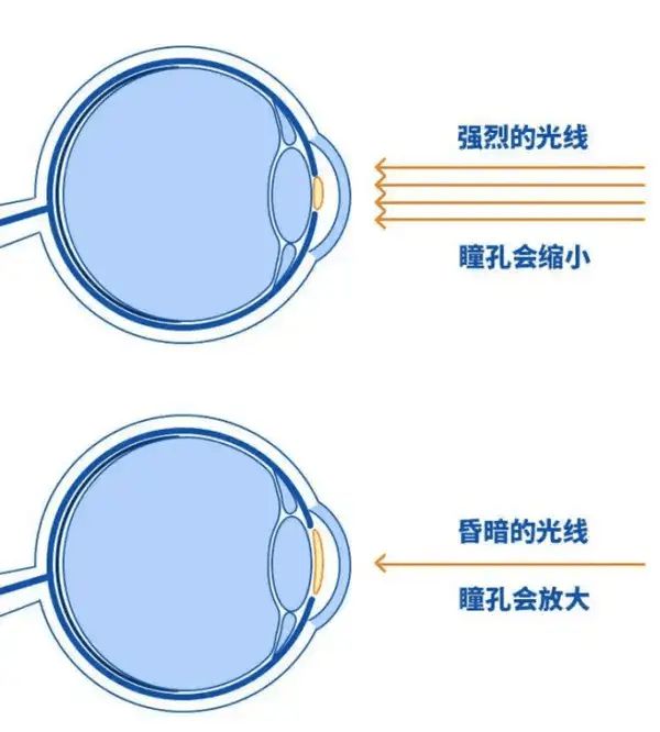 落地灯哪个牌子好？十大经典落地灯推荐(图2)