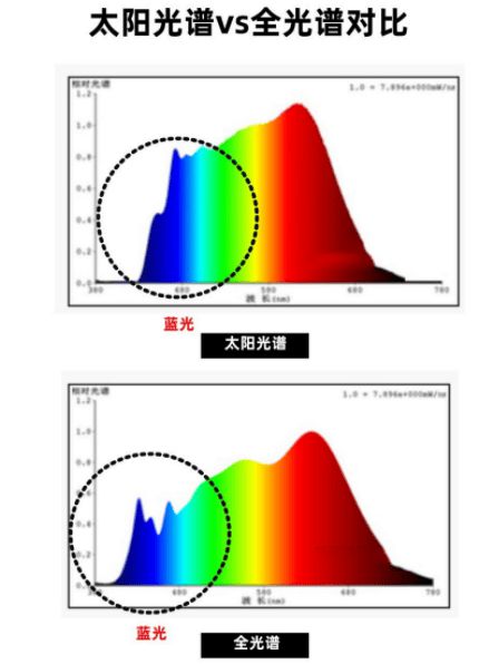 落地灯哪个牌子好？十大经典落地灯推荐(图6)