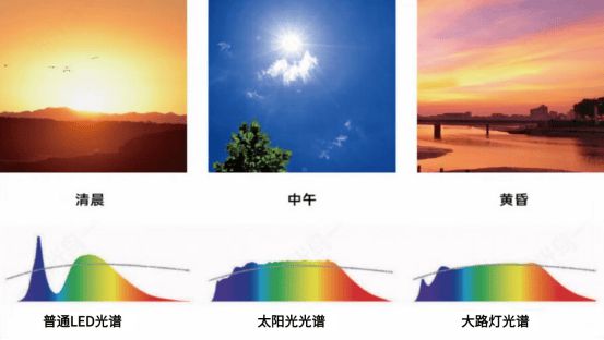 十大护眼灯品牌什么值得买？2024年十大护眼大路灯品牌推荐(图9)