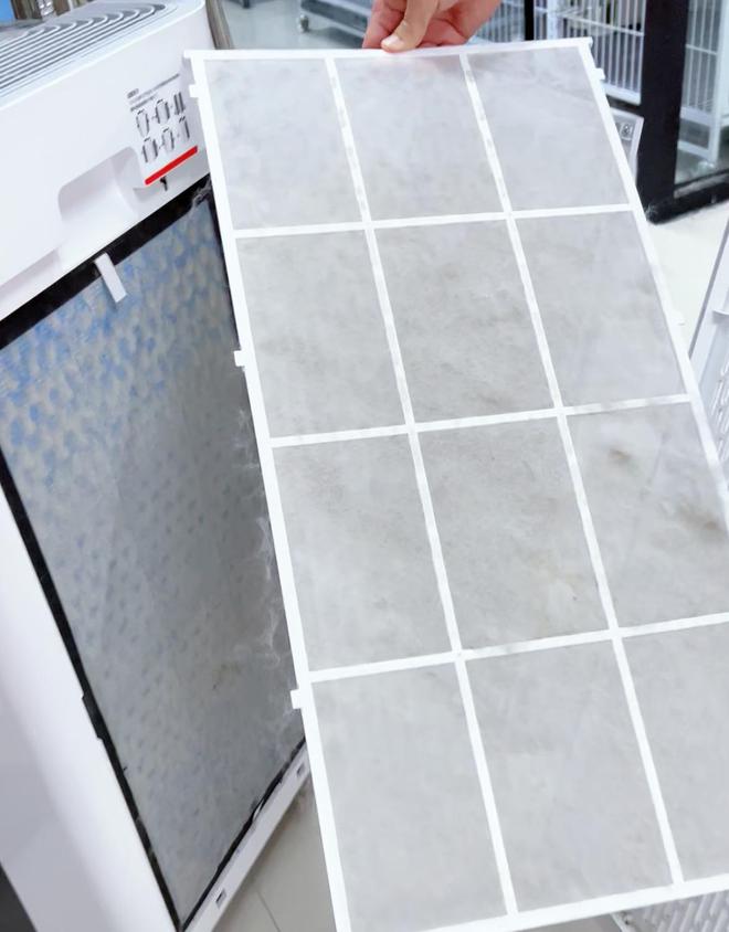 空气净化器能吸附绒毛吗？什么品牌空气净化器可以除醛除臭除菌？(图2)